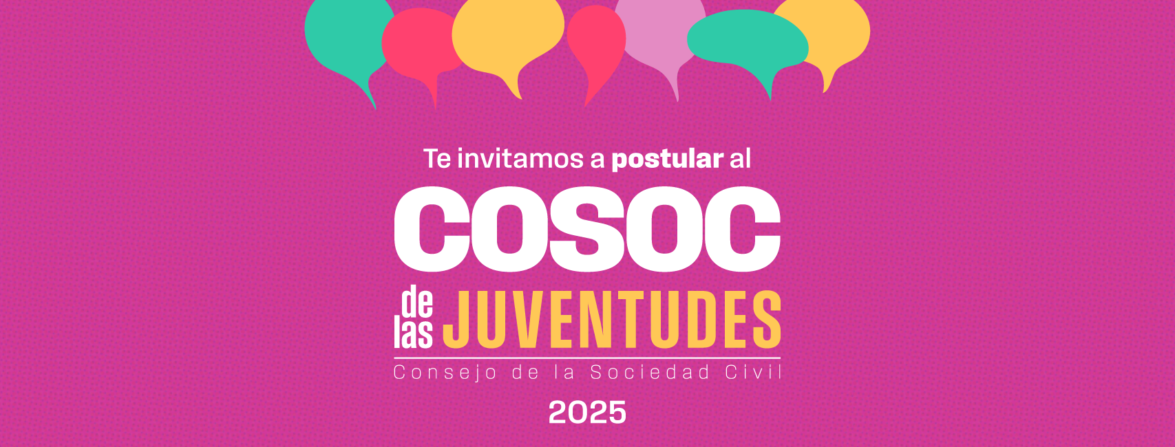 Convocatoria COSOC